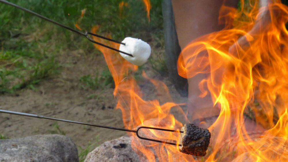 Photo of marshmallows being roasted over a fire